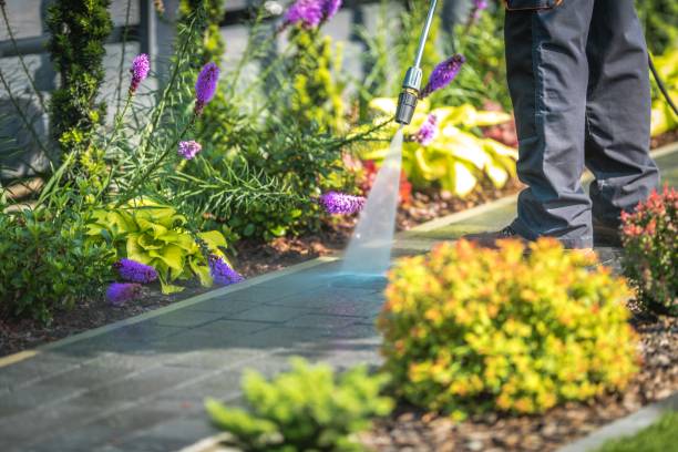 Best Parking Lot and Garage Cleaning  in Visalia, CA